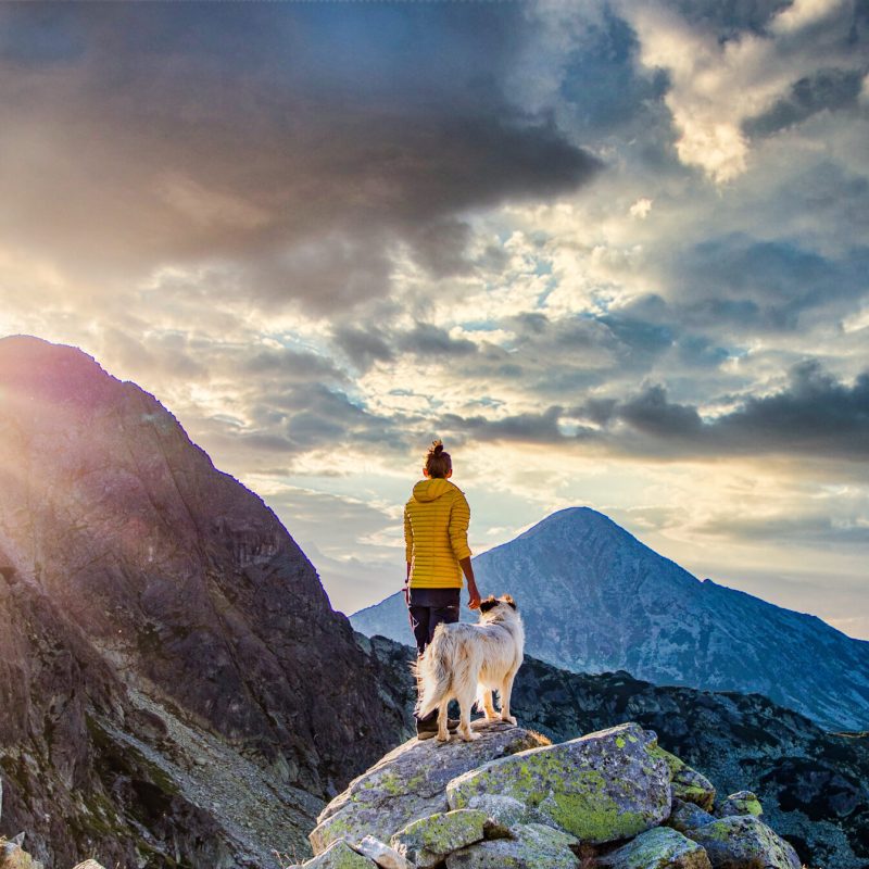 woman with white dog sitting on mountain top in summer landscape slow travel and freedom concept